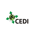 Cedi